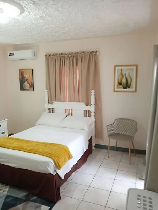 Shaw Park Gem Apt 12E Ocho Rios Apartamento